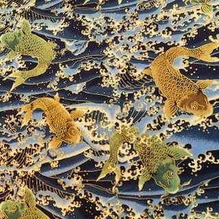 Carps gold petrol on blue