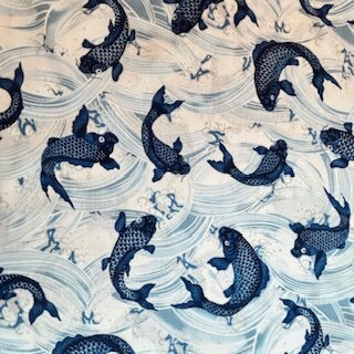Koi blue
